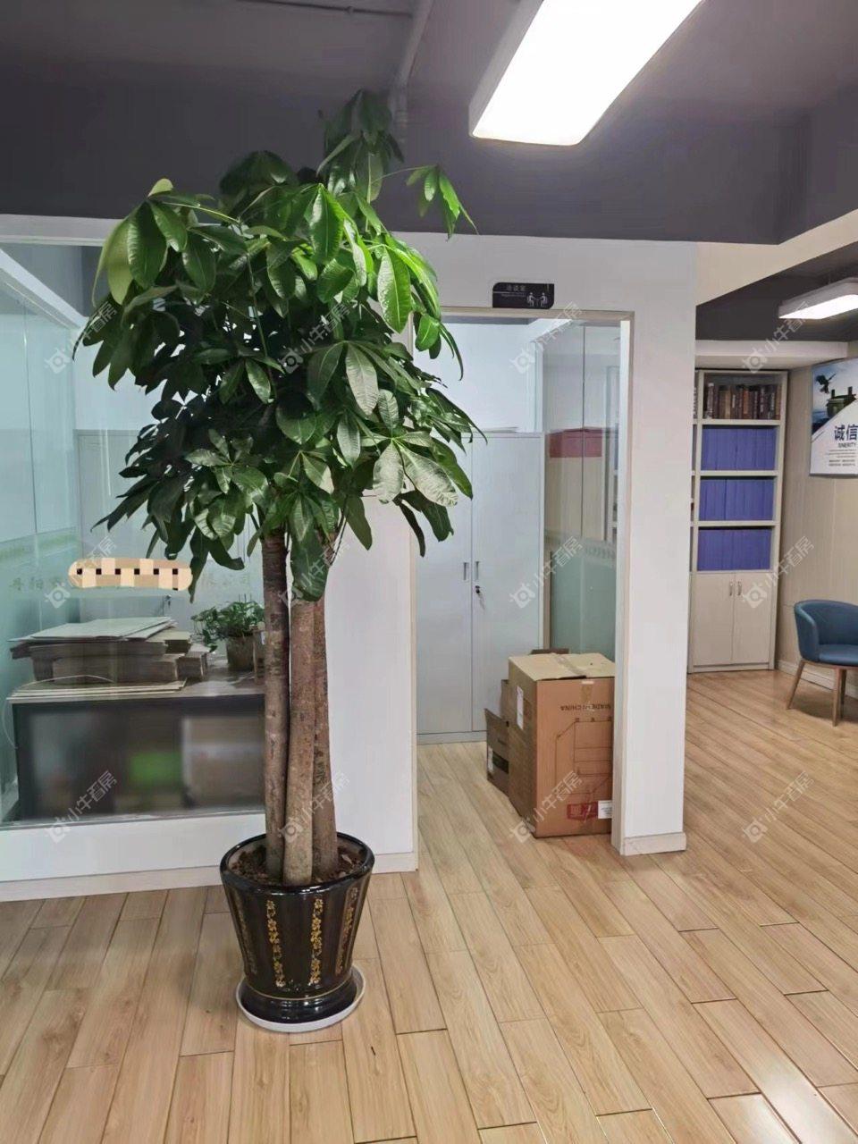 镇江吾悦广场（丹阳）在租房源室内图_小牛看房