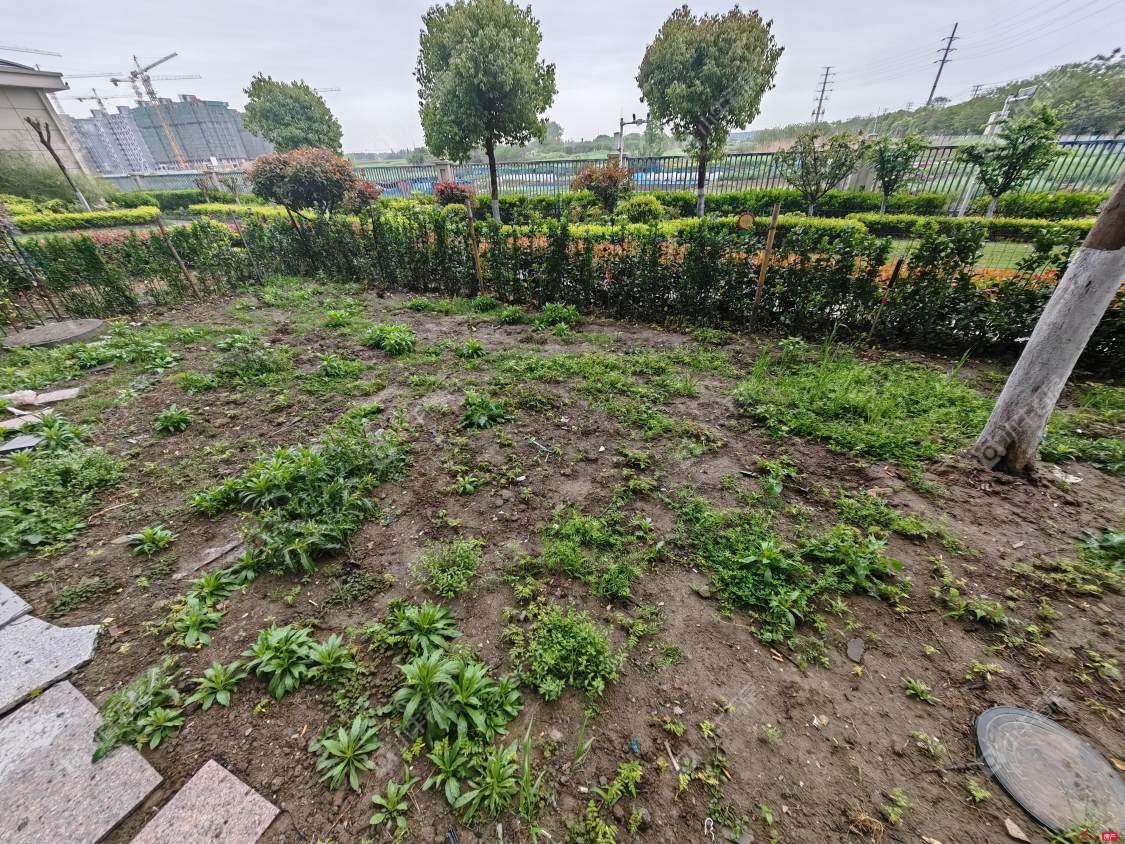 镇江碧桂园樾府在租房源室内图_小牛看房