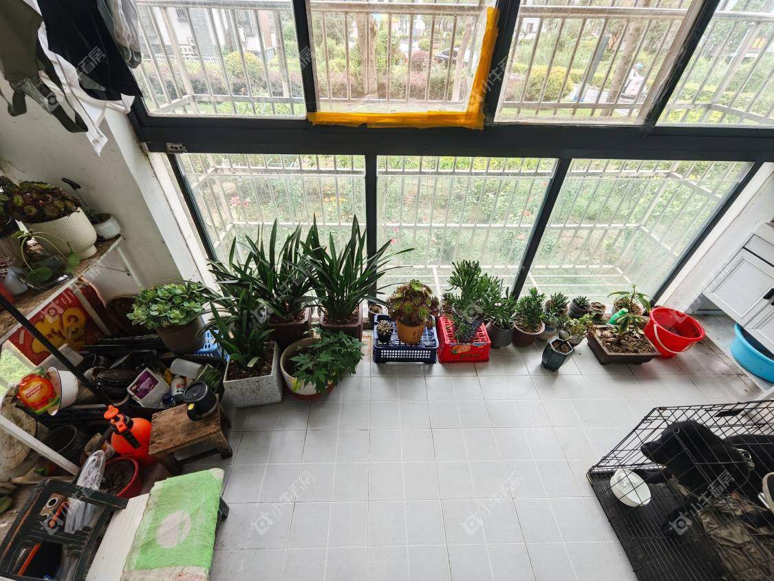 镇江练湖新城在售二手房源室内图_小牛看房