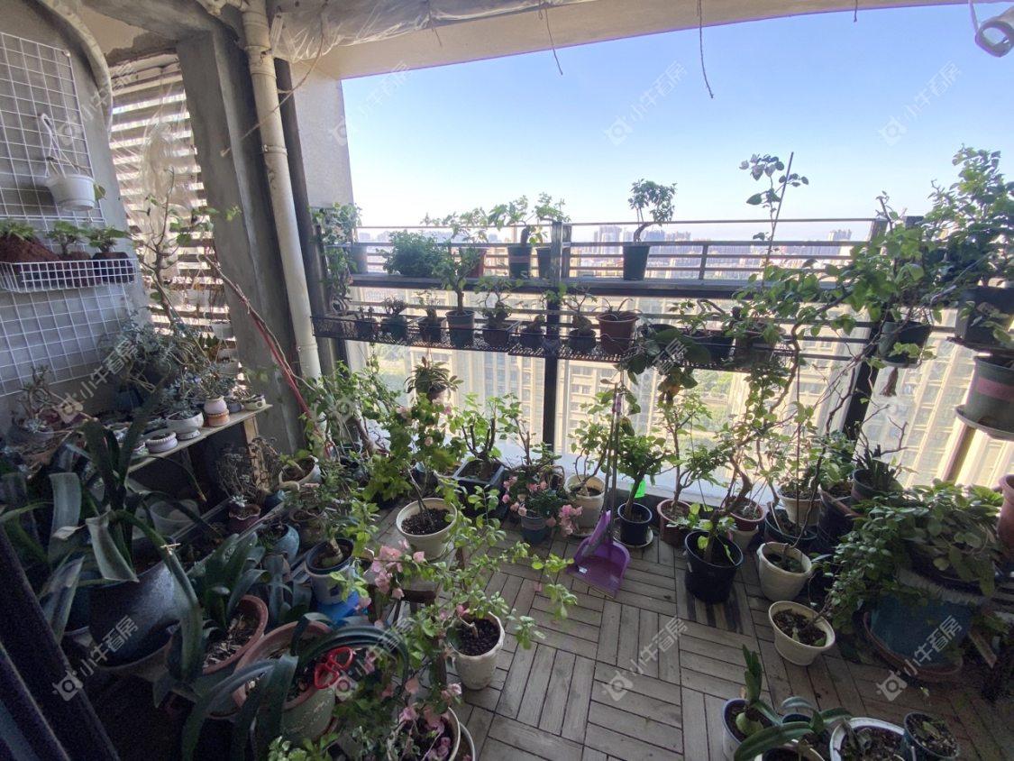 镇江国信宜和在售二手房源室内图_小牛看房