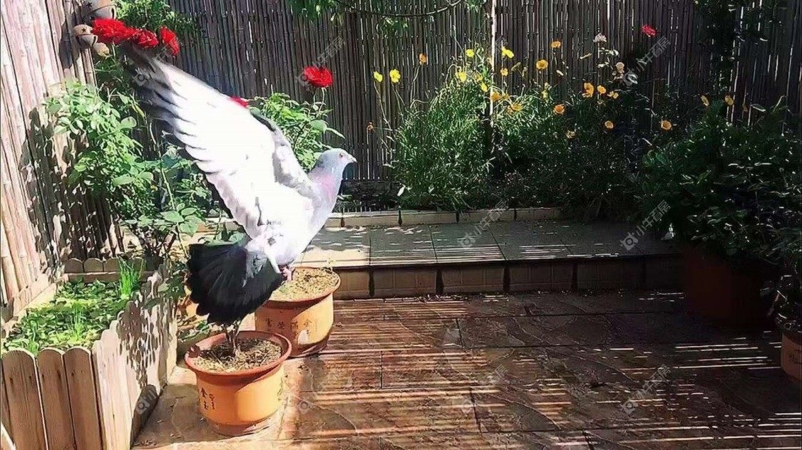 镇江佳景天城在售二手房源小区图_小牛看房