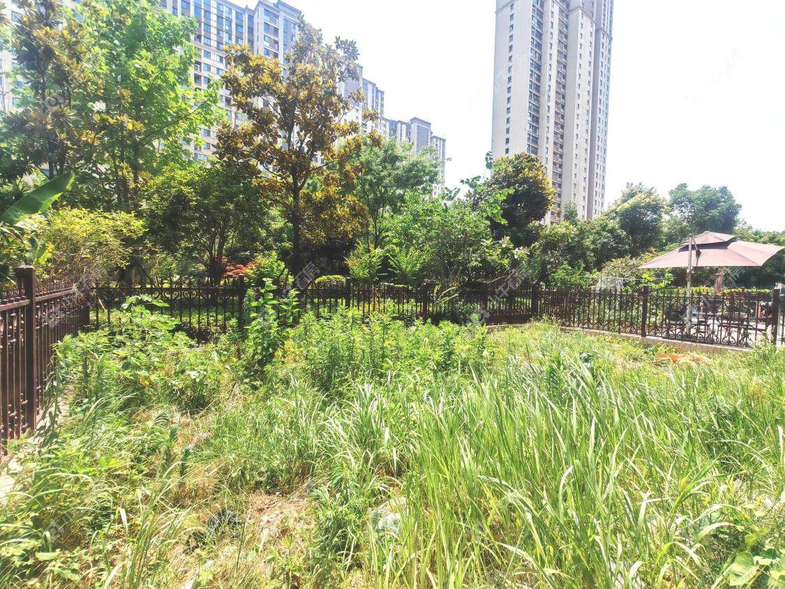 镇江大亚第一城在售二手房源室内图_小牛看房