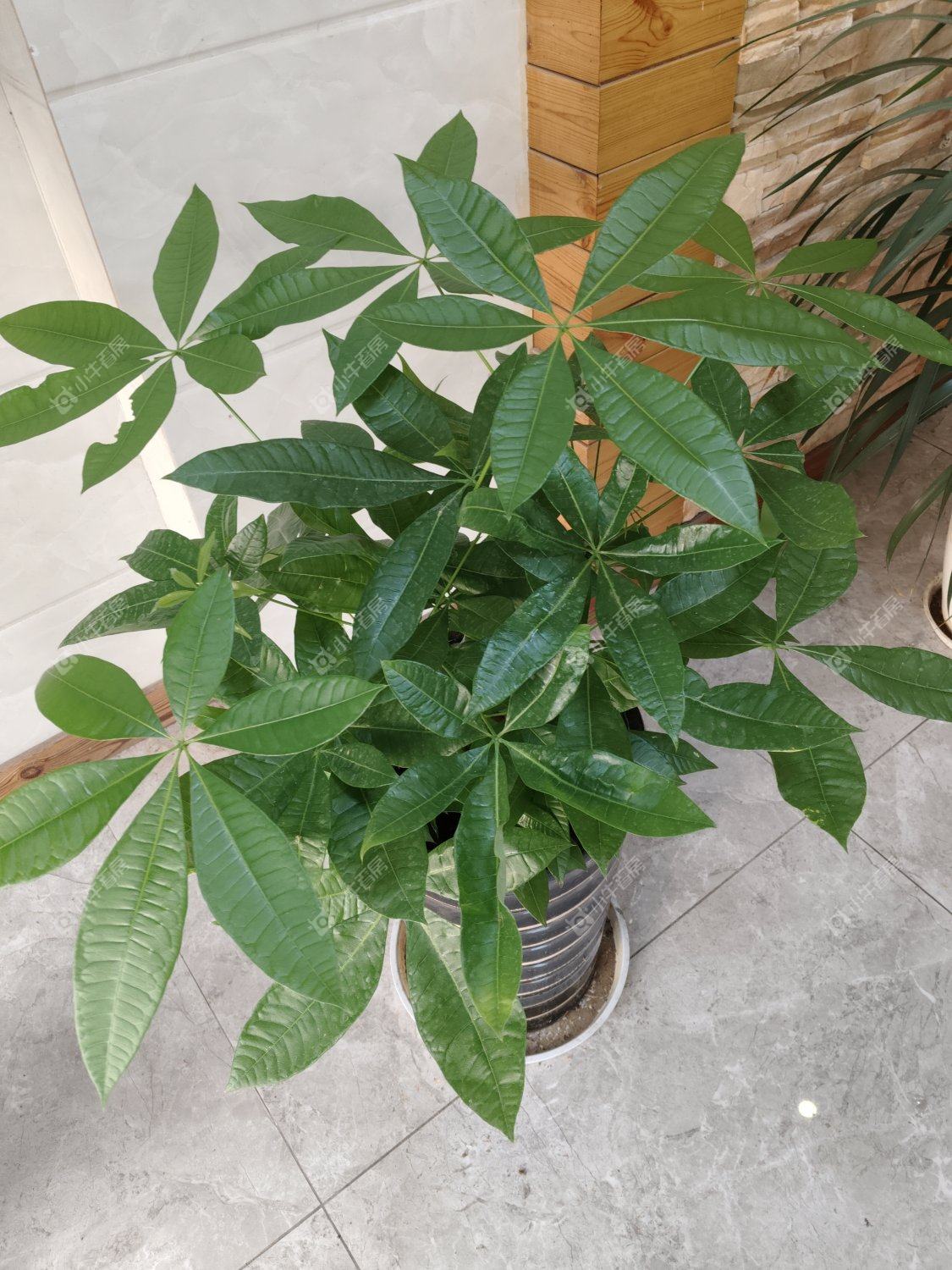 镇江城市绿洲在租房源_小牛看房